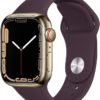 Apple Watch 7 - Aço Inoxidável - Image 2